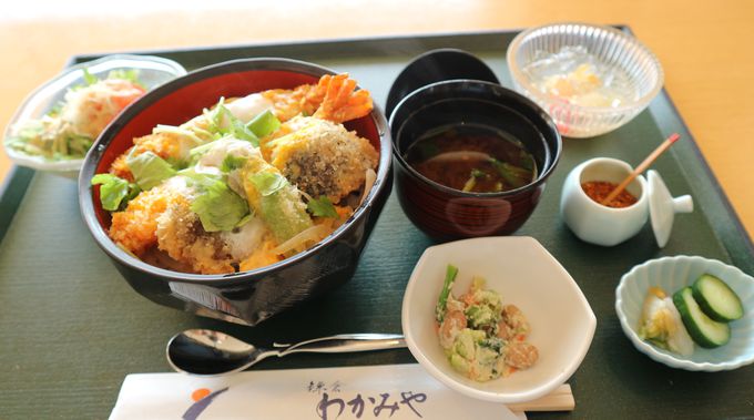 鎌倉の季節の味を丁寧に仕上げた和食に舌鼓