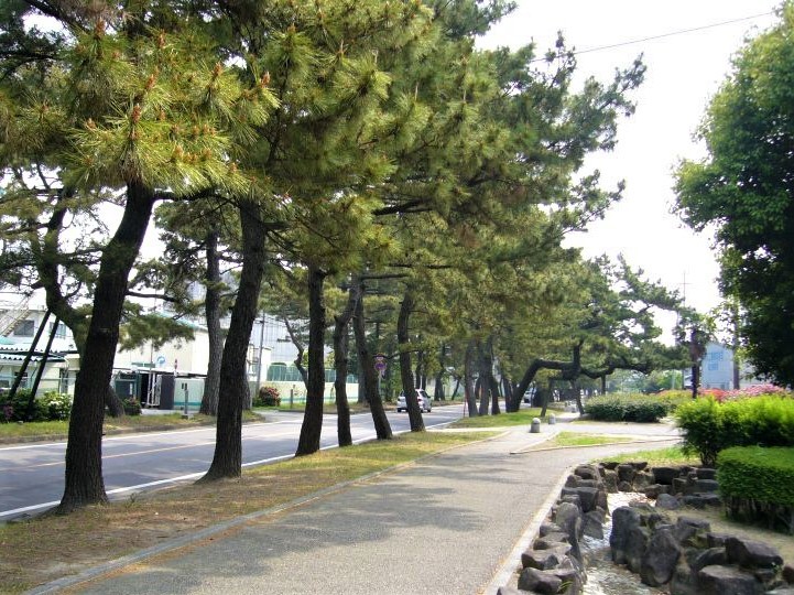 jO͒nȂł͂̌ǂ낪ms