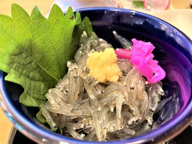 lVXƃs`s`CNPwrŁIDԌuv̋LTlC