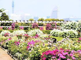 花と緑の競演！「ガーデンネックレス横浜2021」みなとエリア