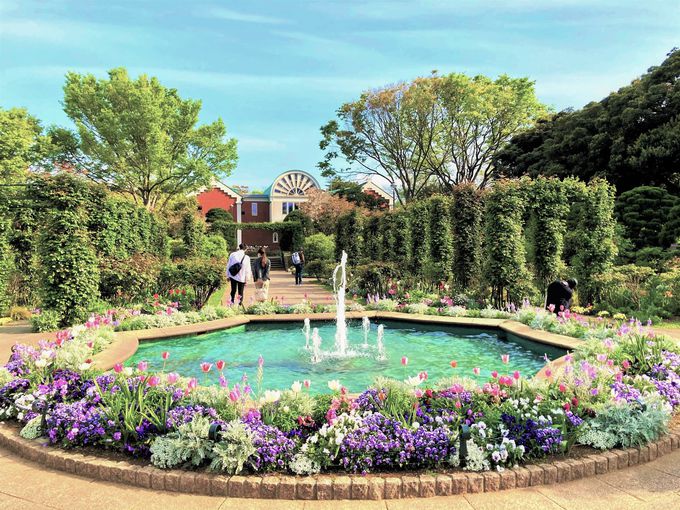 バラの英国式庭園が楽しめる「港の見える丘公園」