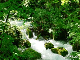 十和田のおすすめ観光スポット10選 神秘的な自然と街歩きも満喫！