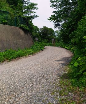 ѓ}jAɂ߂IEYE_Rñ}U[c[wł̋LTlC