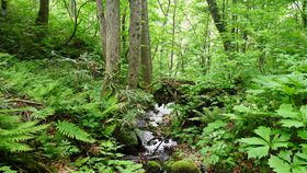 ăoêȂɁI_RnuEY̌a uiюUv͉ĂЂ̋LTlC