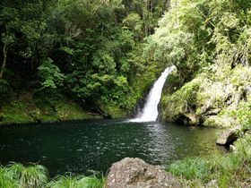 泳げる滝壺！奄美大島の「マテリヤの滝」はジャングルのオアシス