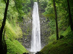 山形県で一番高い滝「玉簾の滝」！滝パワー＆森パワー浴び放題のパワースポット