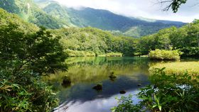 �ォ��I�ԋ߂ŁI���k�̗��E���C�R�̘[�ɂ���_��̒r�u�ߊԒr�v�̋L���T���l�C��