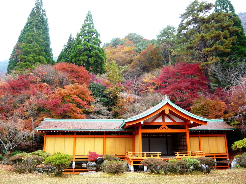 紅葉と山の幸と歴史！熊本の秘境・五家荘「平家の里」