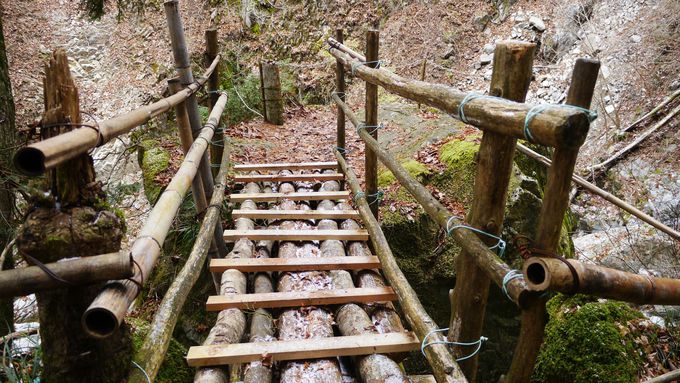 ĝ̂̐XhŖ`C𖡂키I