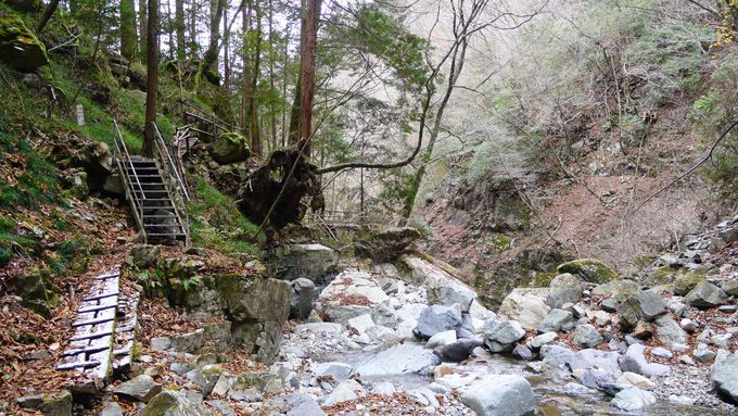 ƂƂ񓧂ʂĂI򕌌TOÍu搭v