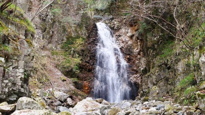 ƂƂ񓧂ʂĂI򕌌TOÍu搭v