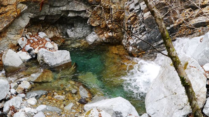 ĝ̂̐XhŖ`C𖡂키I