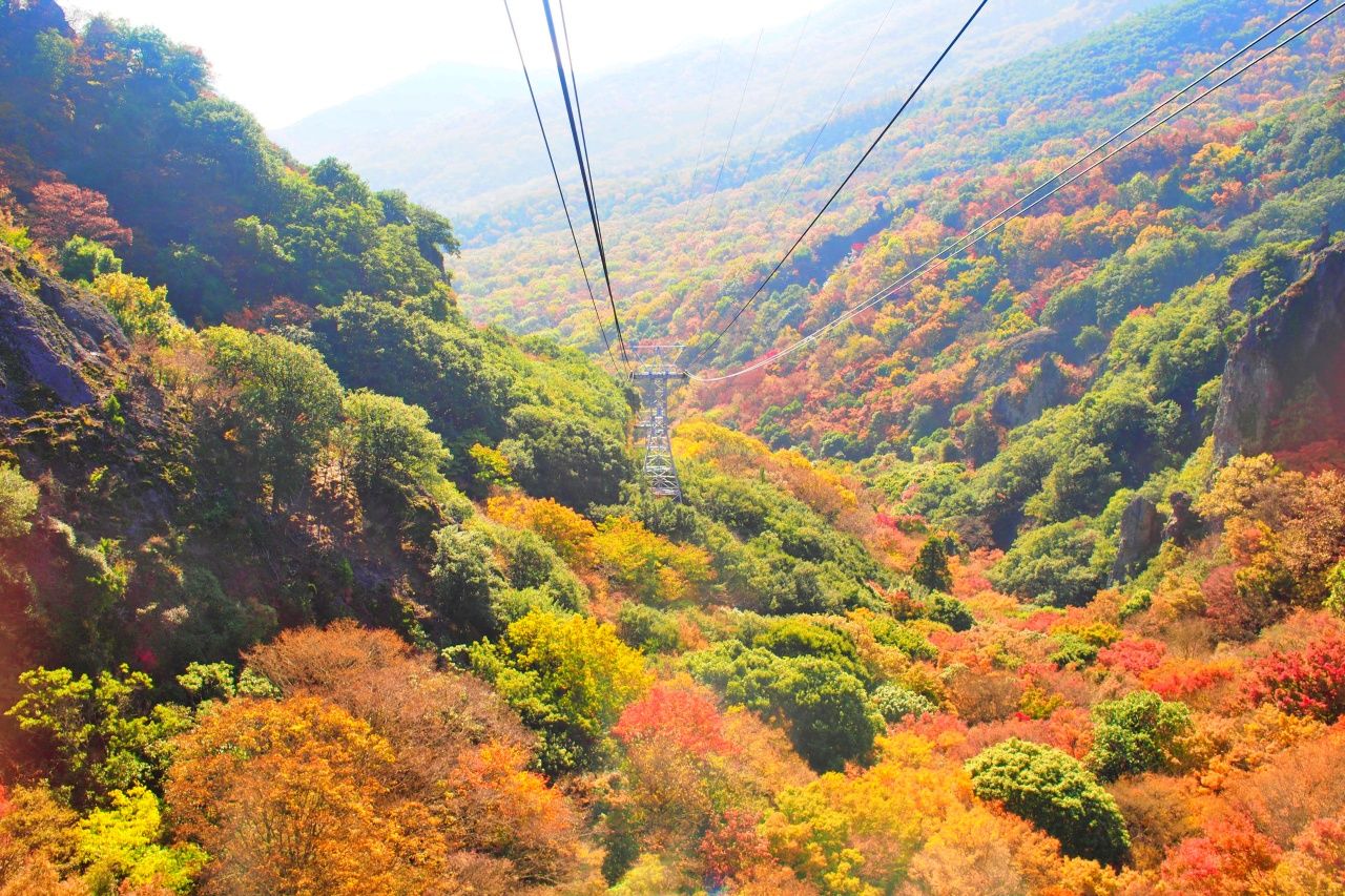 ベストシーズンは秋 写真映え必至の 小豆島 は紅葉の季節がおすすめ 香川県 Lineトラベルjp 旅行ガイド