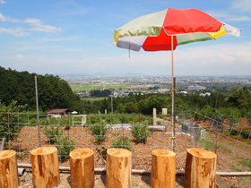 �Z�����삪��]�ł���u���[�x���[���ŁA30��ވȏ�̕i���H�ה�ׁI�̋L���T���l�C��