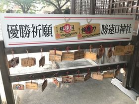 F1���{�O�����v���̌��֌��u���q�w�v�ŗ�����肽���鎭�炵�������̋L���T���l�C��