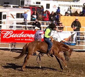 fIInIAJE^iŃJE{[Č̋LTlC