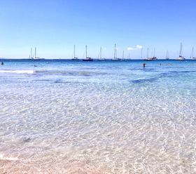 EY̊Cŏ򉻁ICrT̊CŐ̐Eɕ܂̋LTlC