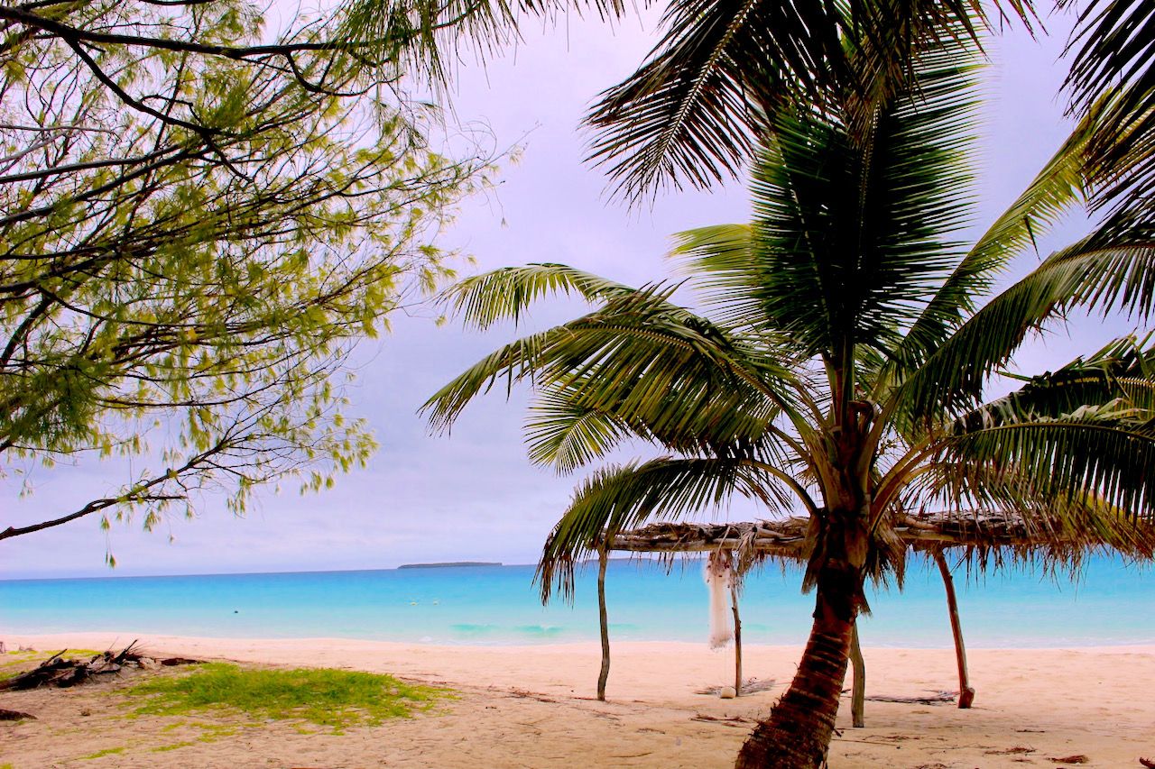 �f��Łu�V���ɂ����΂�߂����v�̃��P�n�́u�g�����r�[�`�v�I