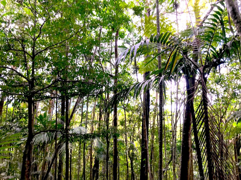 X̒ŊLkIj[JhjA̒n̓𔭌I