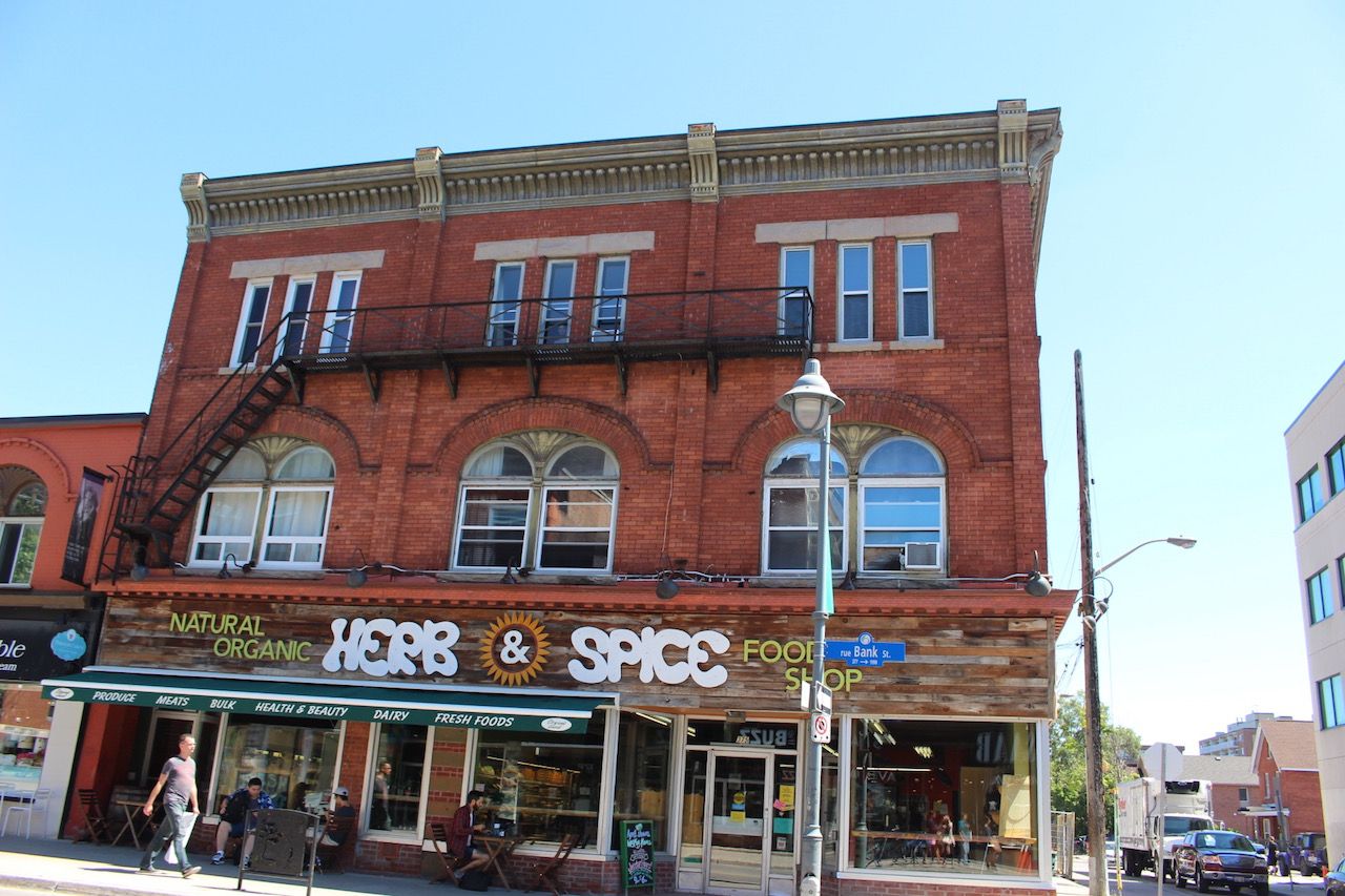 r[o[̃I[KjbNRXŁApN`[̎I