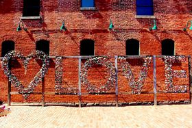 gg̍jnufBXeB[EfBXgNgv̋LTlC