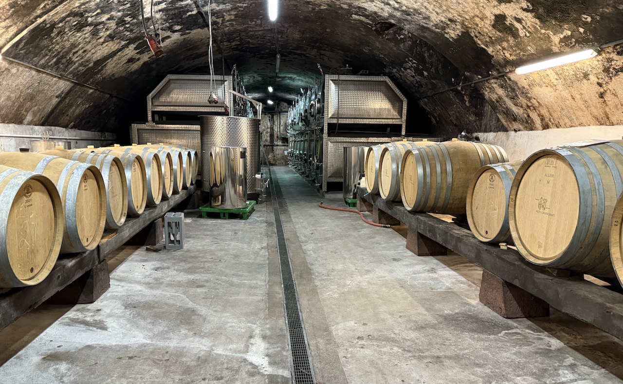 �t�B�W�J���H���̃��}���`�b�N�X��