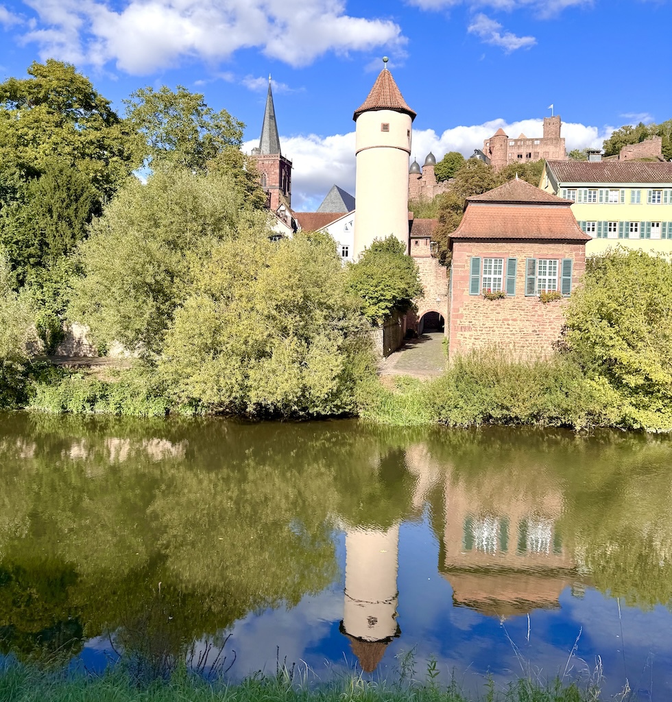 �t�B�W�J���H���̃��}���`�b�N�X��