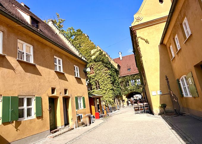 ���}���`�b�N�X�������܂ꂽ�X�E�A�E�N�X�u���N