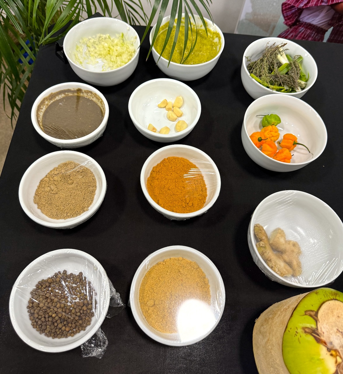 �������K�I�W���}�C�J�����̃W���[�N�`�L�������