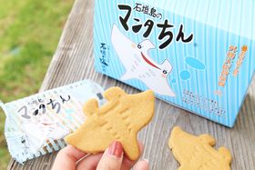 �Ί_���̂������߂��y�Y15�I�I��Ԃ���n���ɐl�C�̂��َq�܂ł̋L���T���l�C��