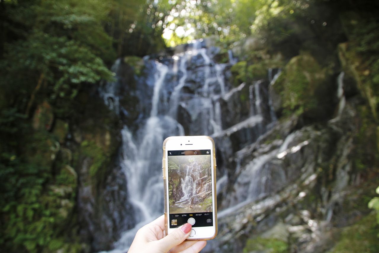 1�D�������C�A�����̑�c�����̎��R�ɖ������