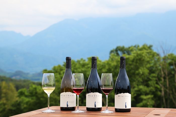 ԂǂŃLCɁBR̂nXpuVINO SPAv