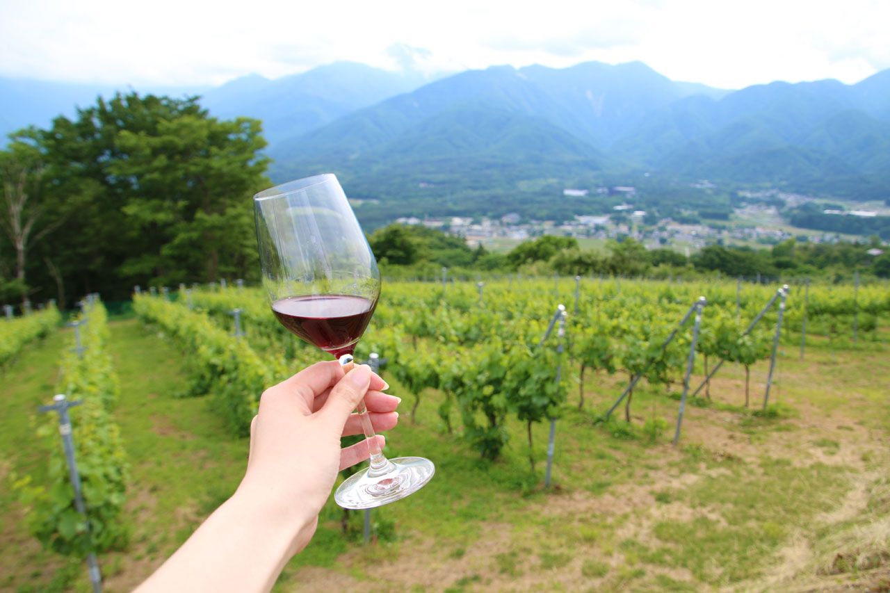 ԂǂŃLCɁBR̂nXpuVINO SPAv