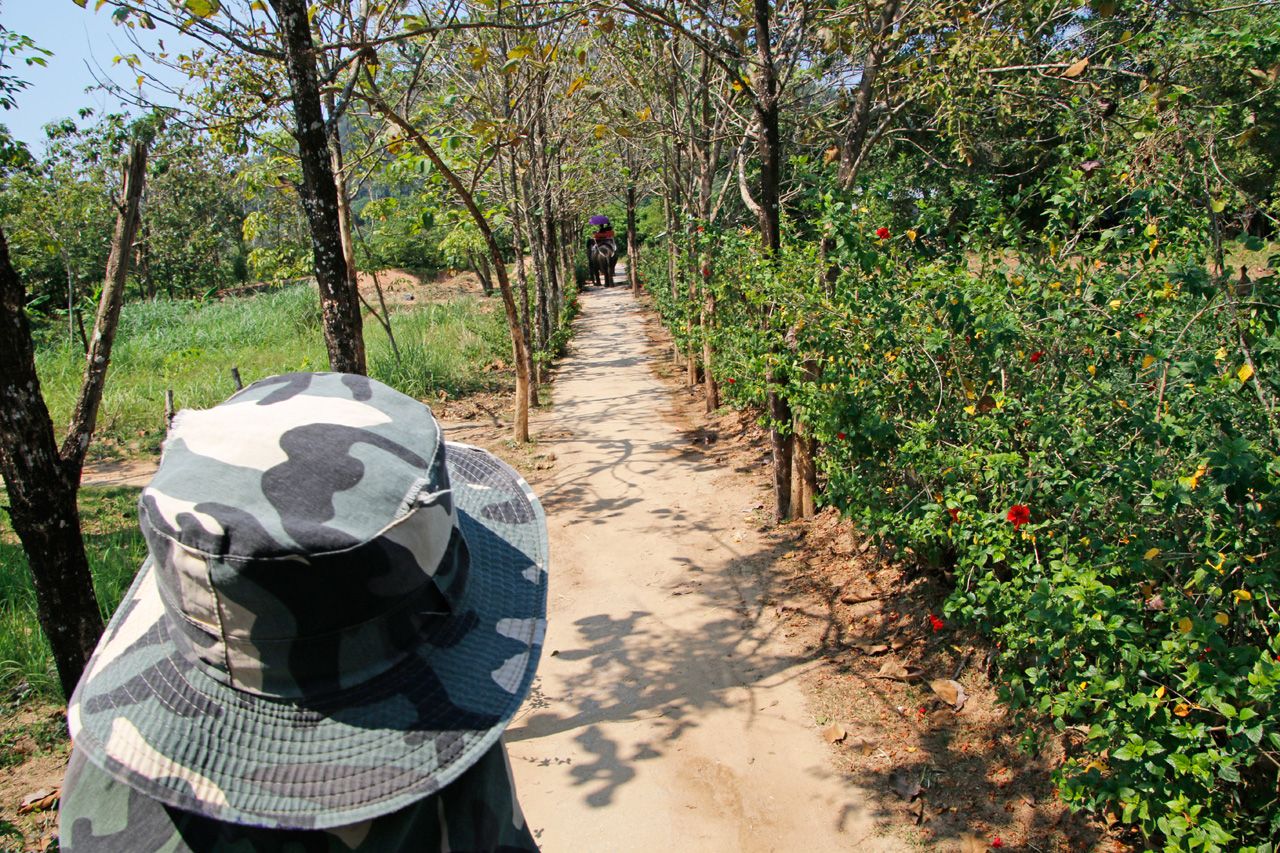 12:00`F^Cό̒ԁIۏ̌