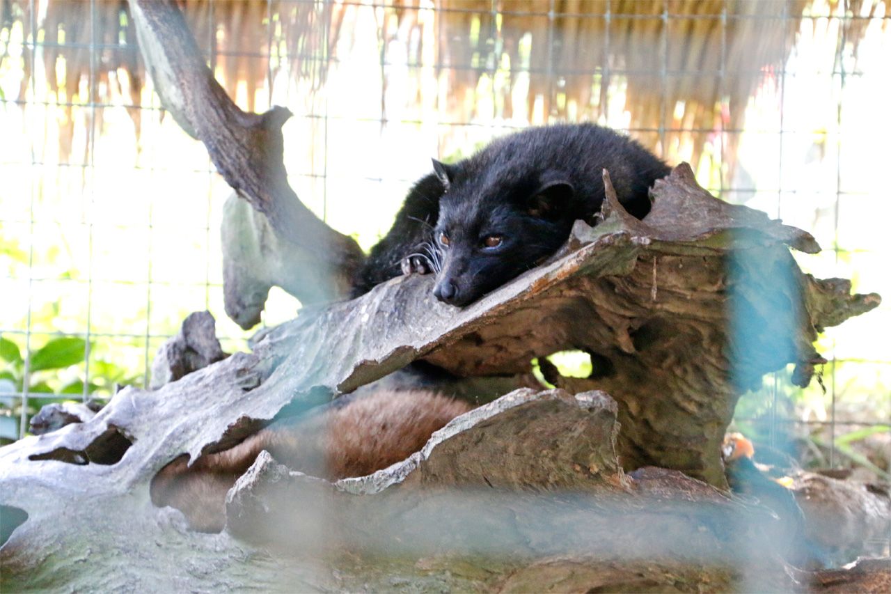 WRElRɉIoYuRsEAbNvw