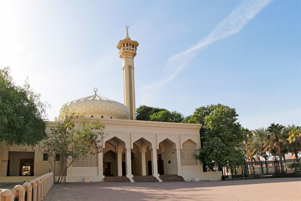 s҂ɉe͂HCɂȂu}_vɂ