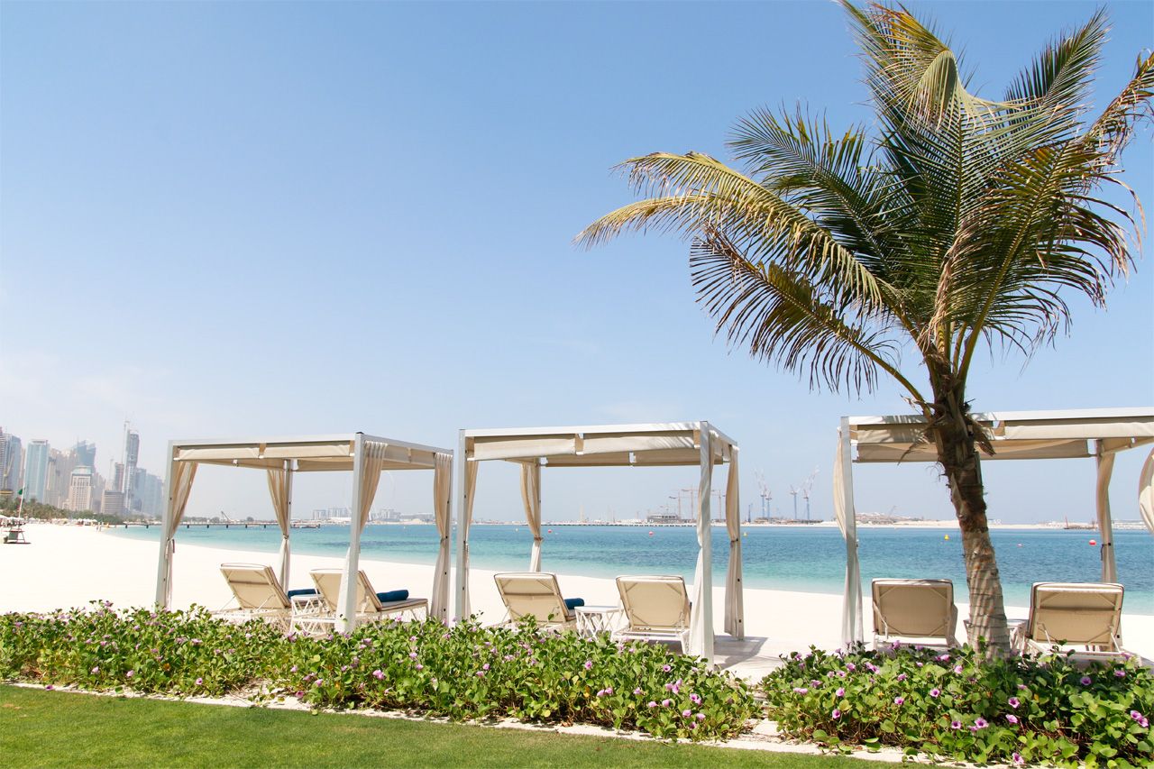 ���}�_����ċG�͈����I�����ɔ��܂���@