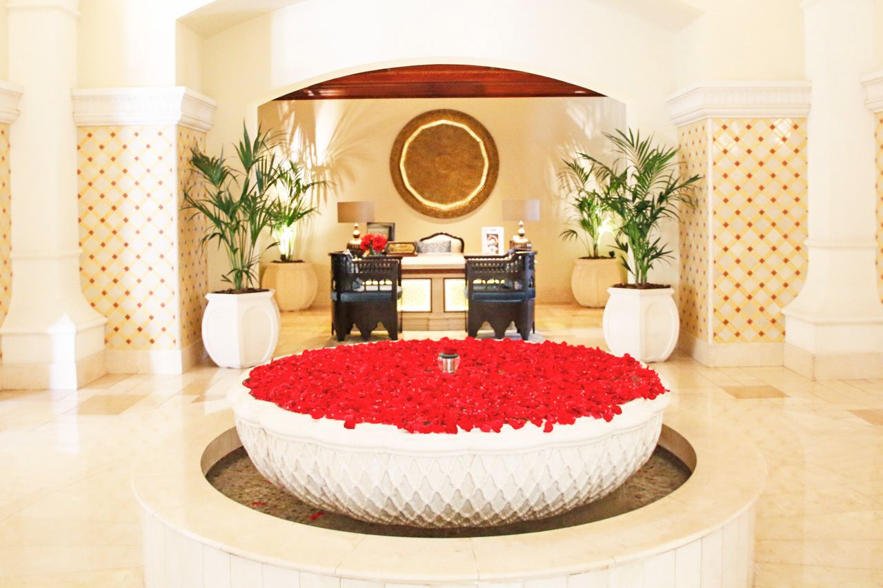 ���}�_����ċG�͈����I�����ɔ��܂���@