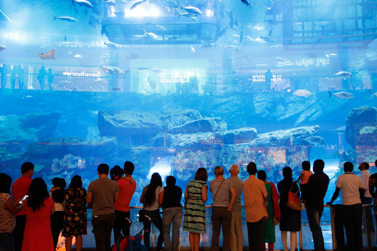 Xܐ1300ȏIEőuhoC[vƂ