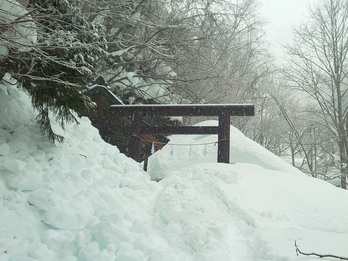 奥社のお詣りは雪解けした春からがシーズン