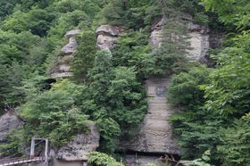 �X�������_�̂苴�Ɗ��Q�I���w��V�R�L�O���́w���̂ւ�x�̋L���T���l�C��