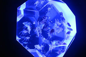 �u�A�[�g�A�N�A���E���W �`���E�����̉��`�v��2021�N�Ă̎v���o���̋L���T���l�C��