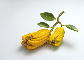 �܂�Ŗ{���I����150�N�W �����̓��{��ƍH�| ���s�����ߑ���p�ق̋L���T���l�C��