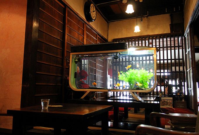 大阪 金魚カフェでレトロな空間と金魚に癒される 大阪府 トラベルjp 旅行ガイド