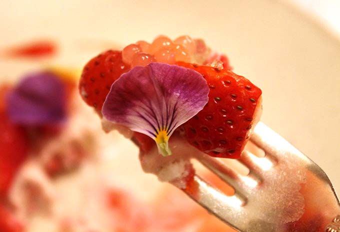 ؂₩ȏẗMuXgx[Jv[[v