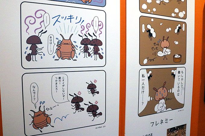 特別展 昆虫 が19年大阪に来た 展示 見どころをご紹介 大阪府 トラベルjp 旅行ガイド