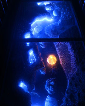 mu|t@^W[فvŏagƉfʐ^B̋LTlC