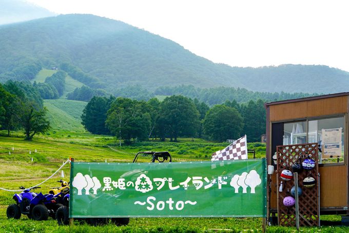 AX`bN󒆂ۂI{iWF[gȂ