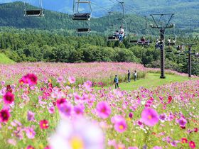 R̒ŗVڂIuPGREEN GARDENvɐVȉOVуGAo