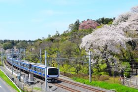 ��錧���ˎs�ɂ�14���Ԃ����J���w������!?�̋L���T���l�C��